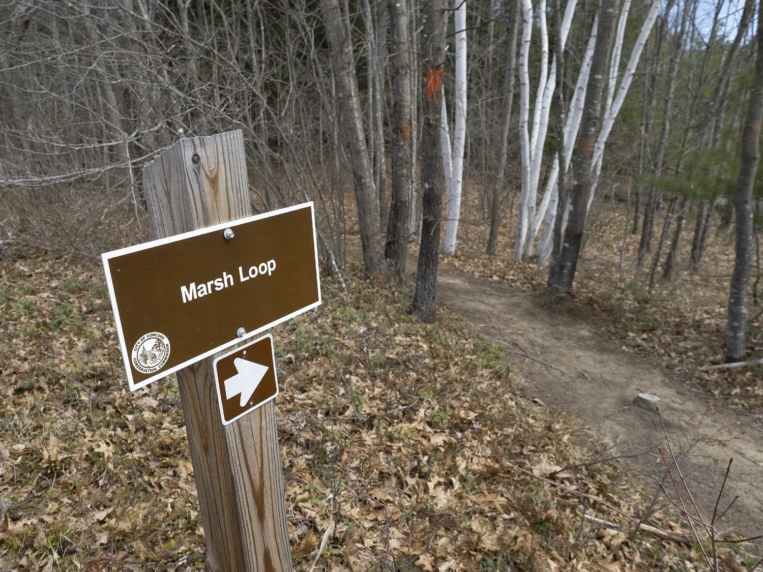 Arts Ahead: Live music, film screening, orienteering and more