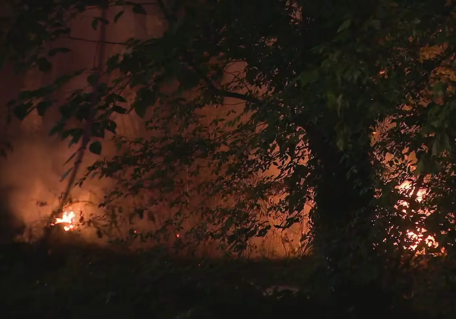 Multiple fires in DeKalb County may have been intentionally set; man in custody