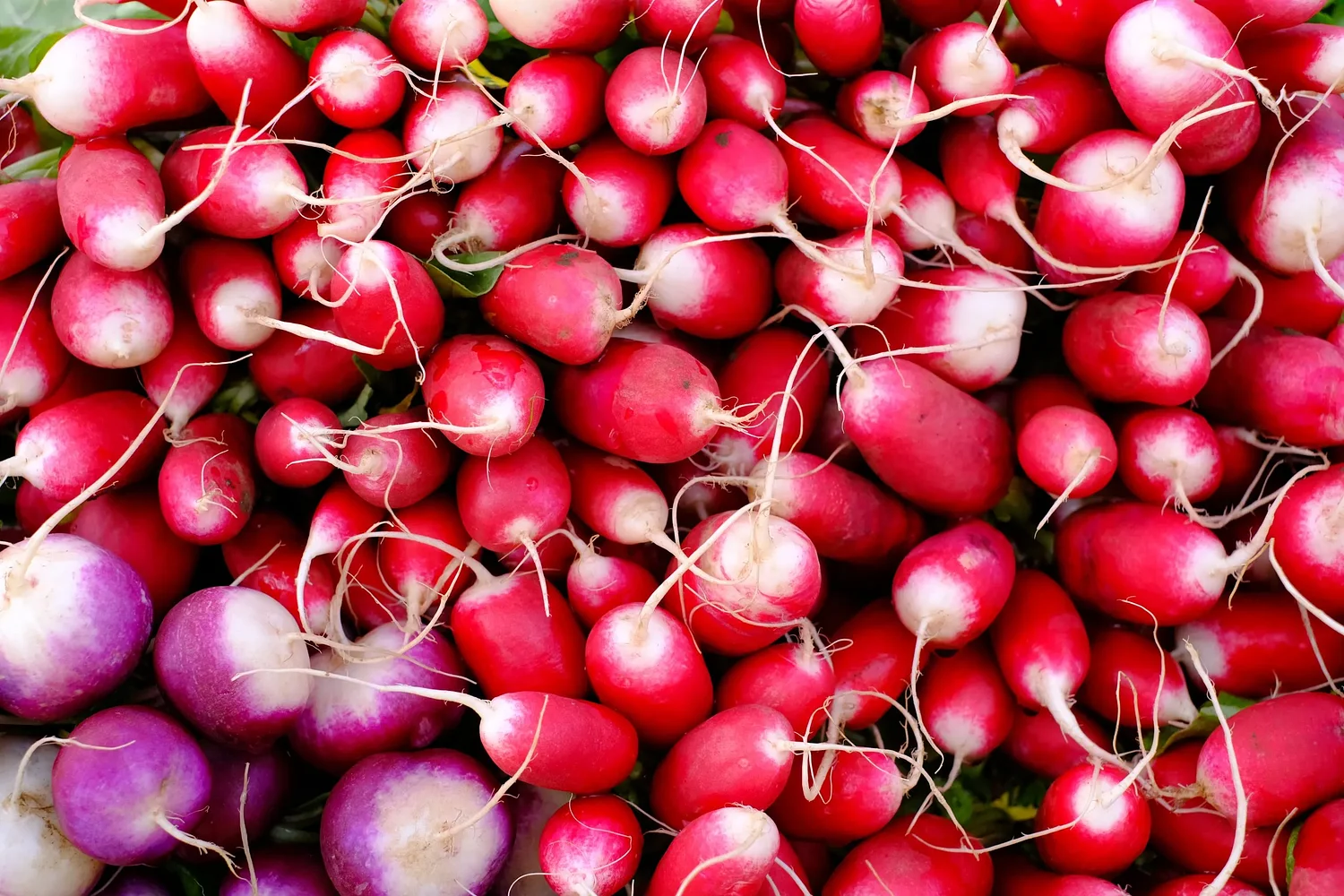 Market season arrives: Your guide to farm-fresh food, local crafts in Lane County