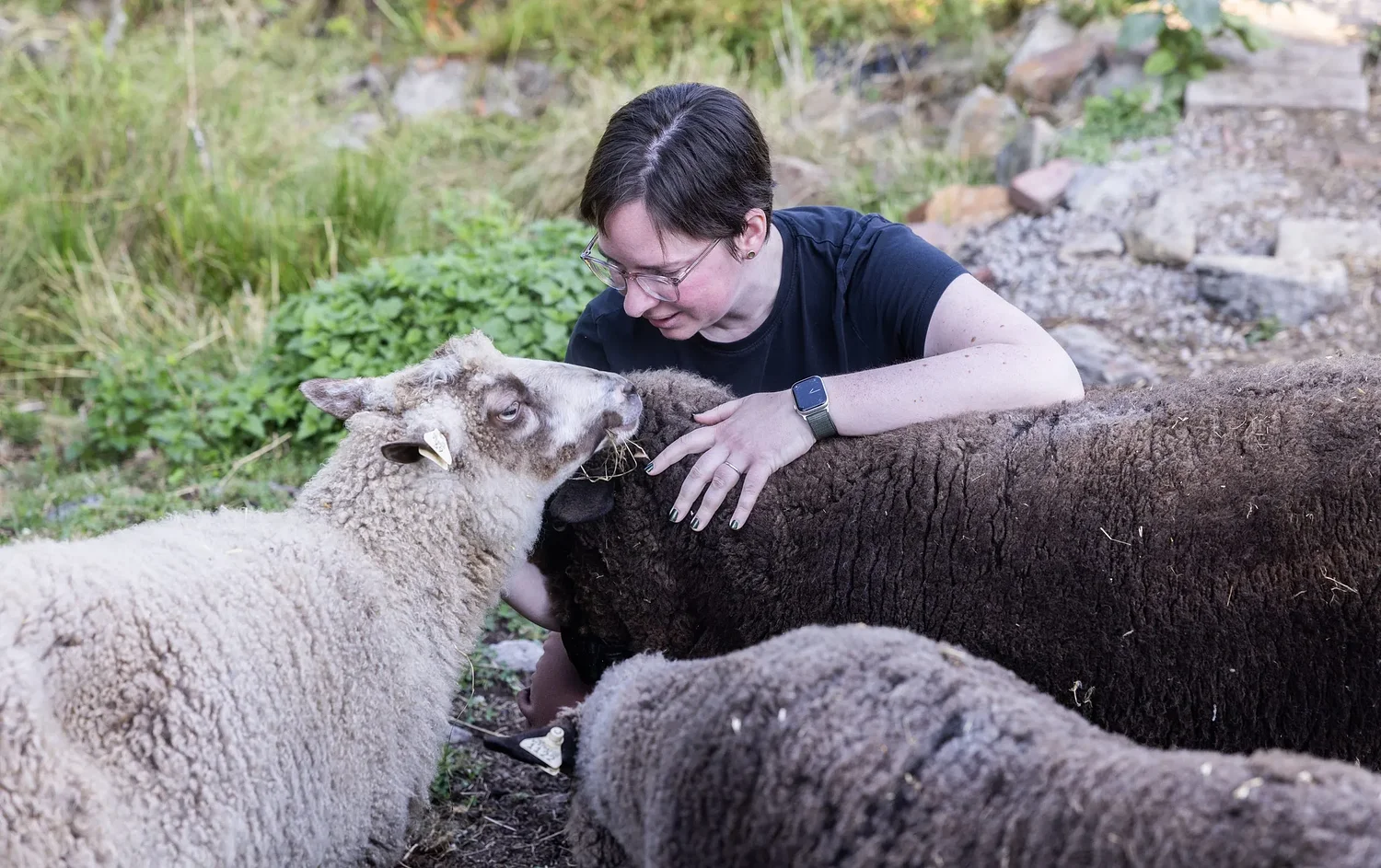 Rue Toland’s yarn spinning hobby grew her family and her farm
