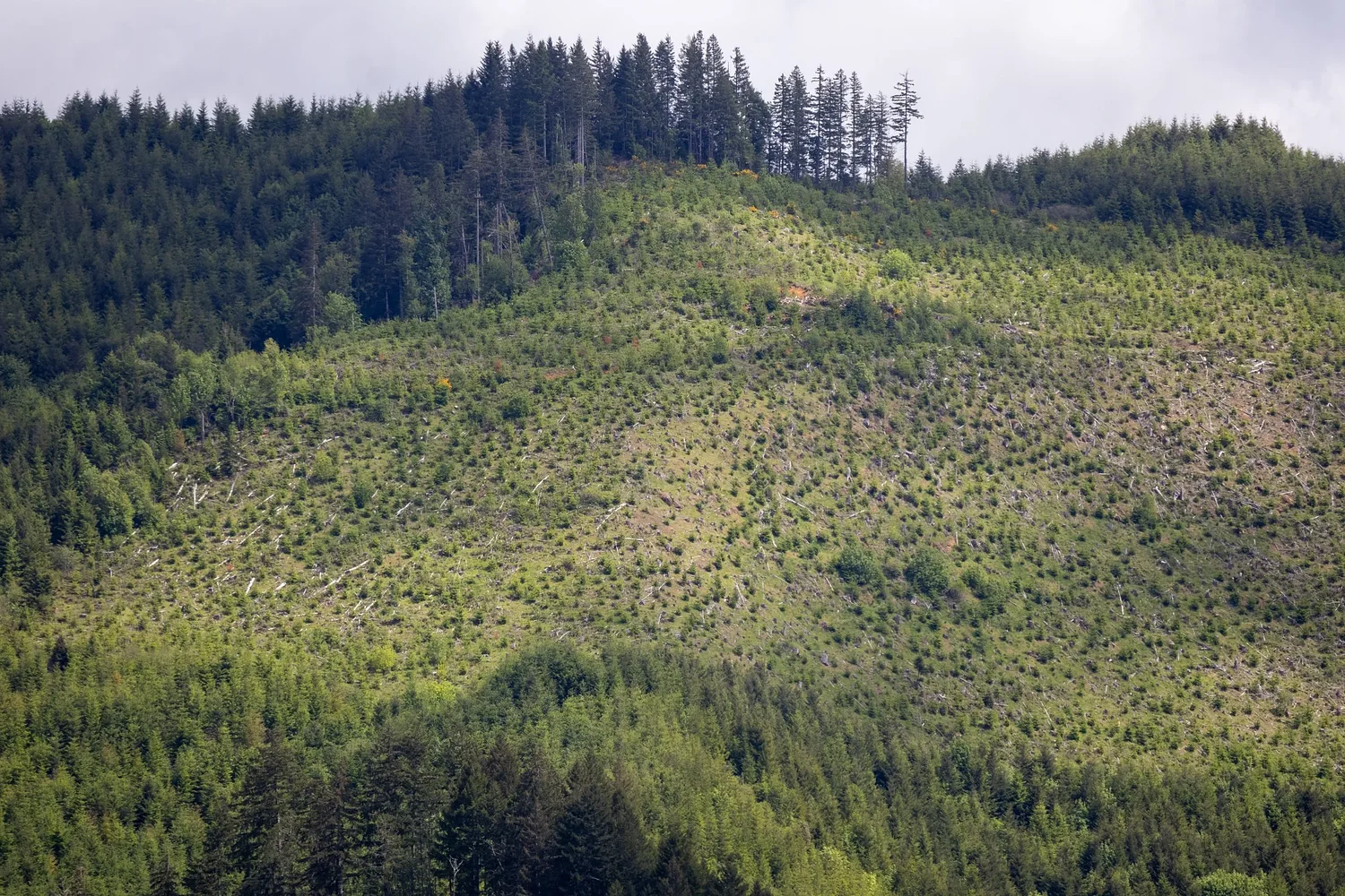 Watersheds Bill of Rights appears headed for failure