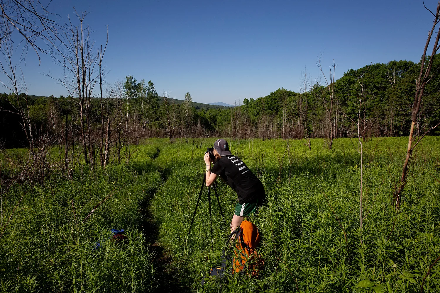 Nonprofit works to identify best views on the Appalachian Trail