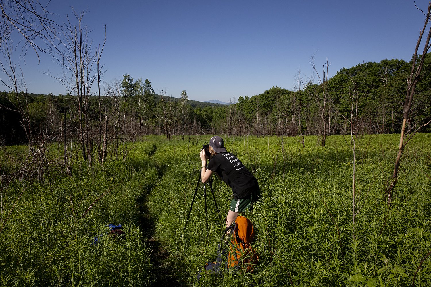 Nonprofit works to identify best views on the Appalachian Trail