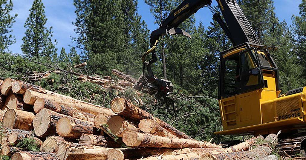 Feds propose opening millions of acres of Oregon forests to 1960s logging levels