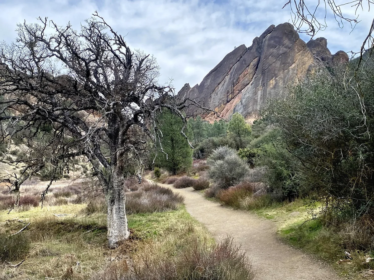 In search of condors in the wild, at California’s Pinnacles National Park
