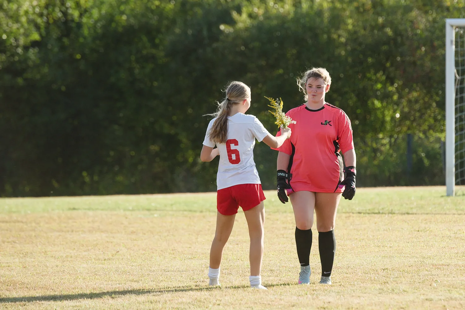 Local roundup: Stevens soccer advances to DIII semifinal for 4th straight year