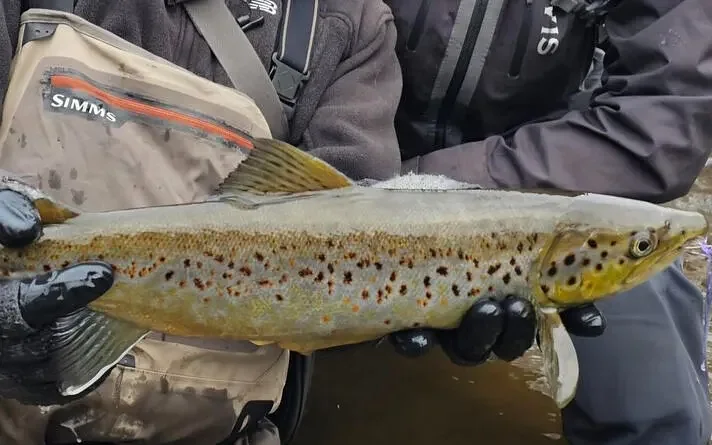 Find the best late-season fishing spots in Maine before winter sets in 