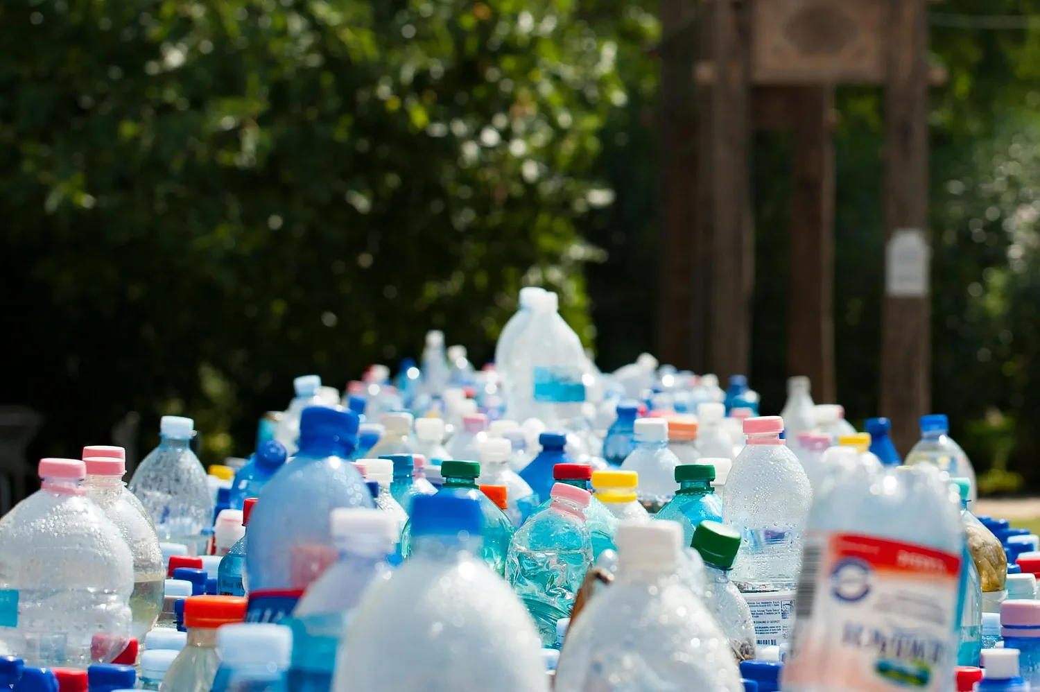 Oregon's new recycling rules are in effect, expanding what Lane County residents can recycle