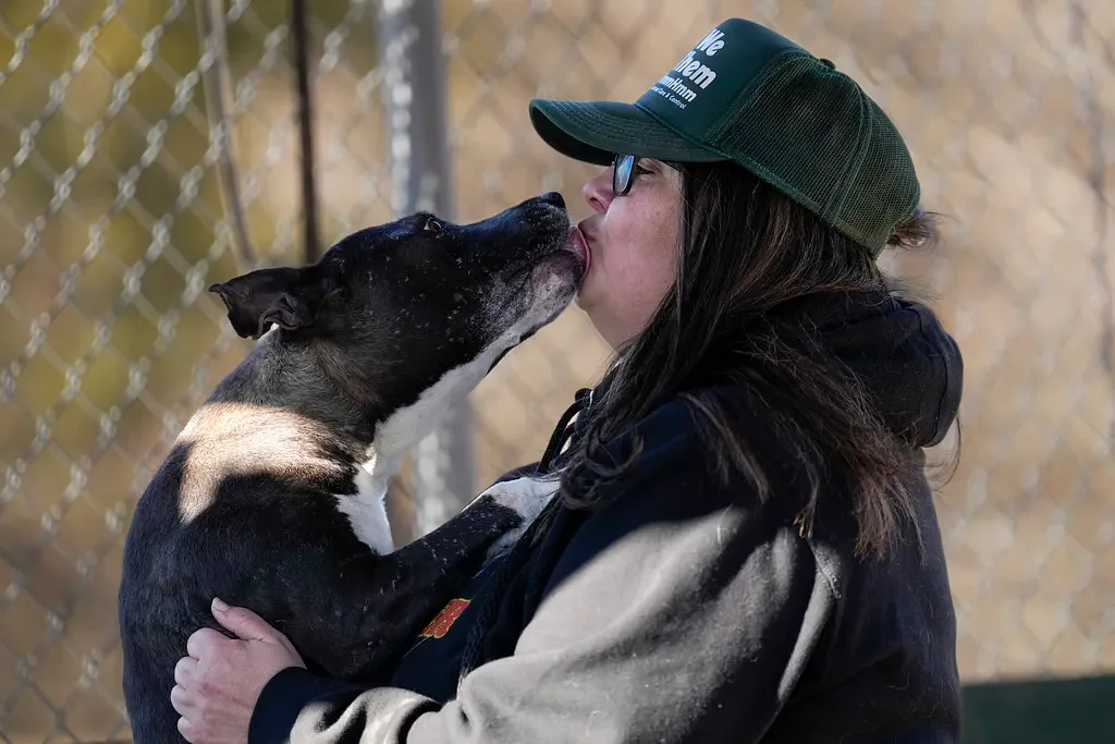 Real estate Q&A: How can we get neighbor to deal with constantly barking dog?