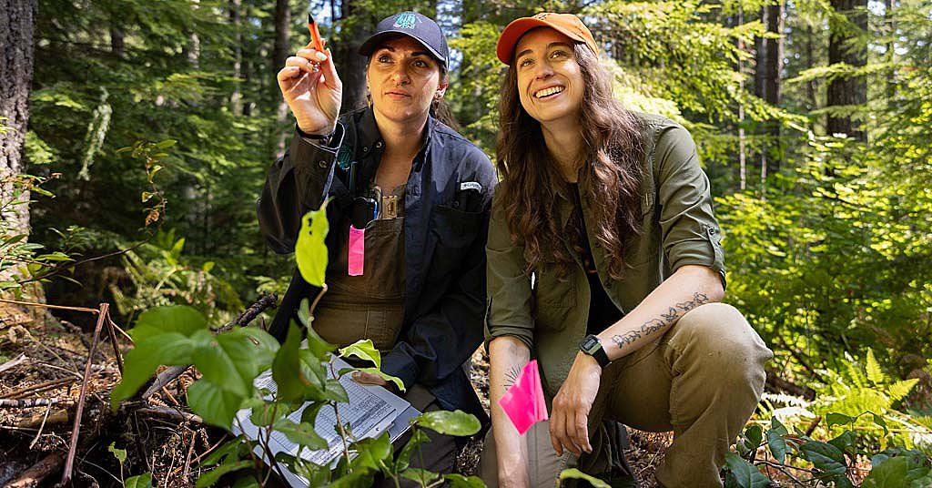 Can ‘two-eyed seeing’ save our forests?