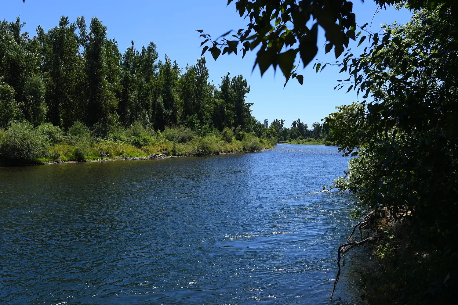 Springfield receives federal assistance to address aging 42nd Street Levee