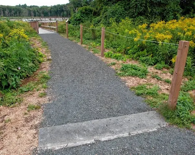 Area briefs: Easthampton to hold Halfway to St. Patrick’s Day event