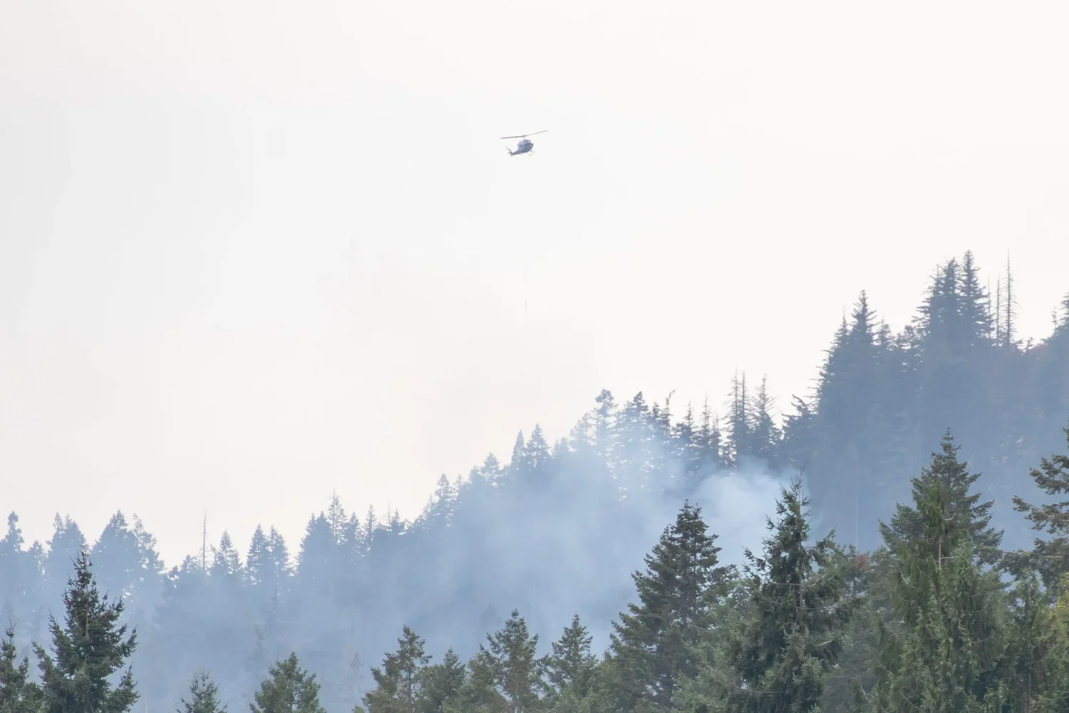 Lane County’s modest wildfire season still cost more than $78 million