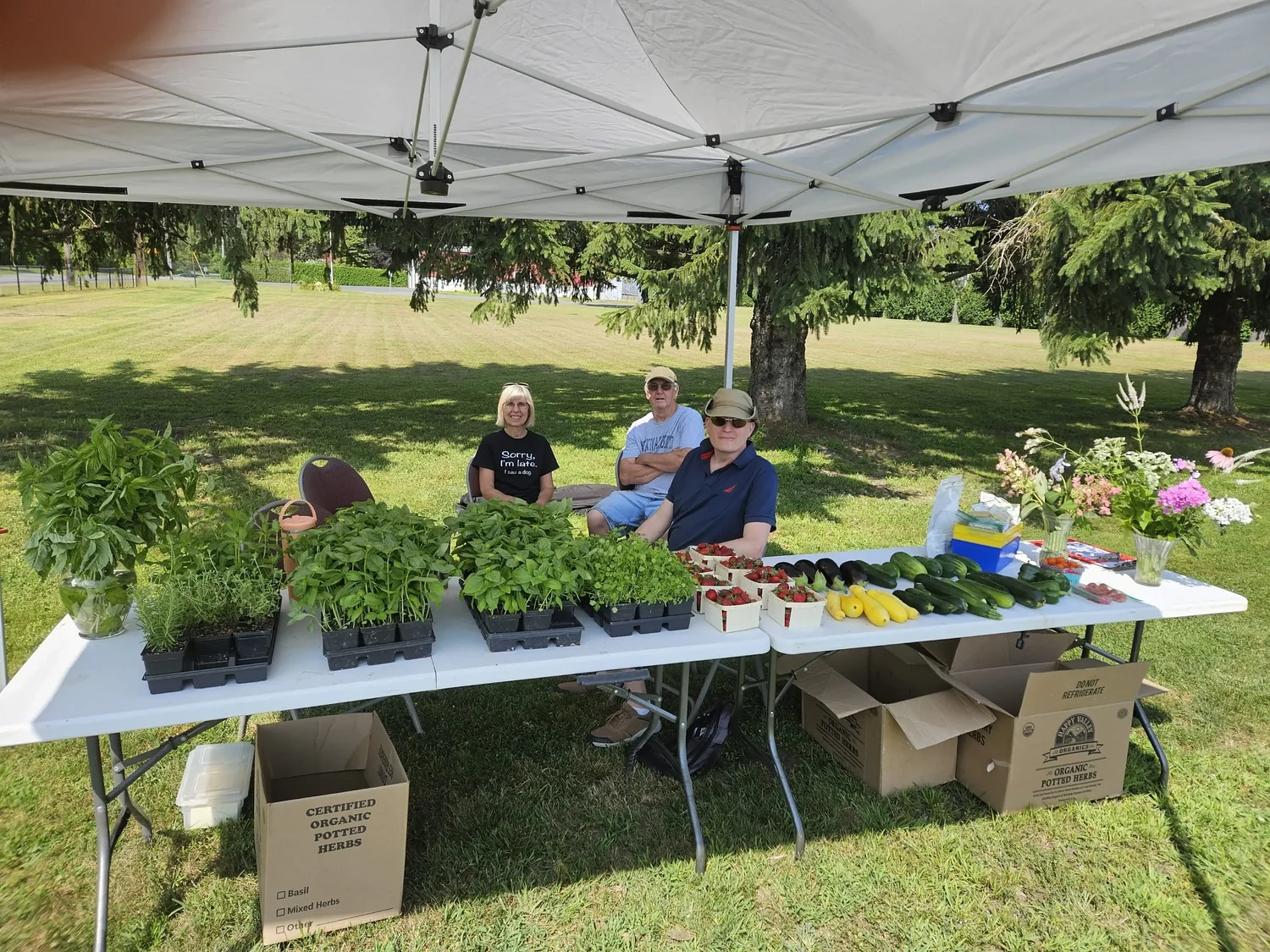 Whately’s biweekly seed, plant exchanges inspiring plans for a community garden