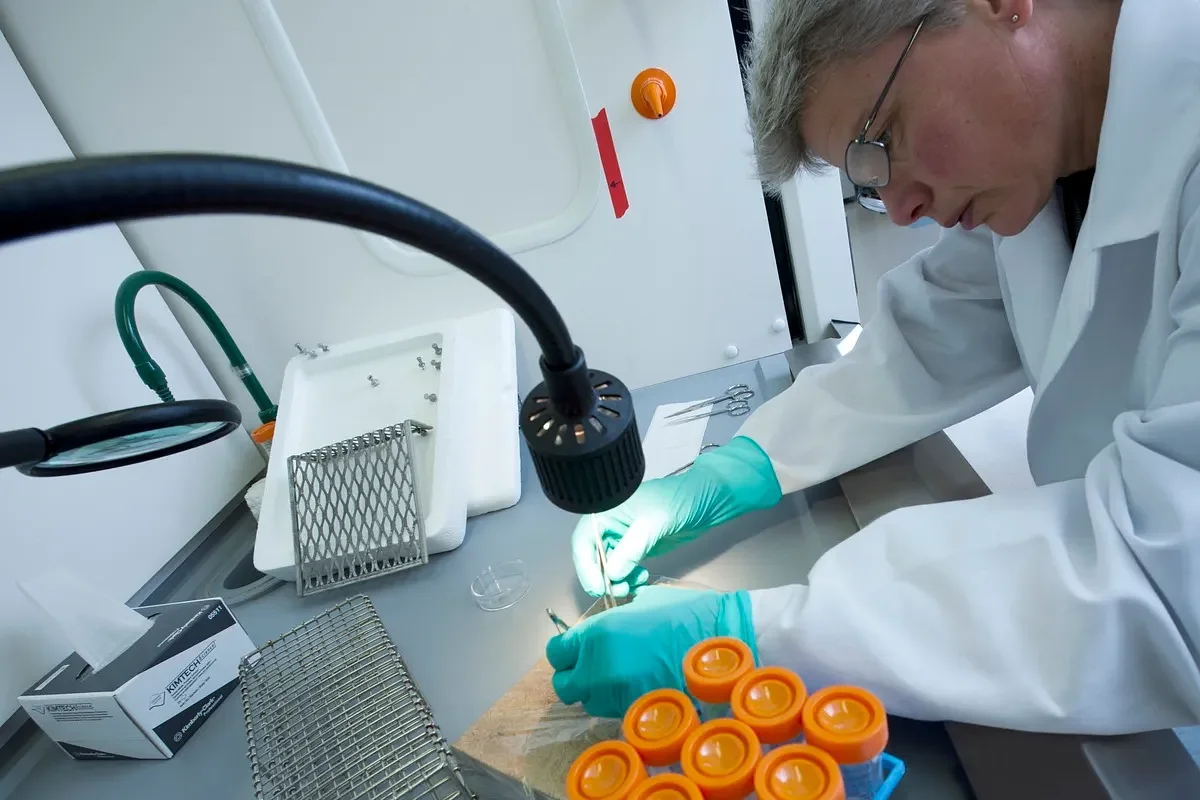 2 MDI laboratories win nearly $3M in state funding