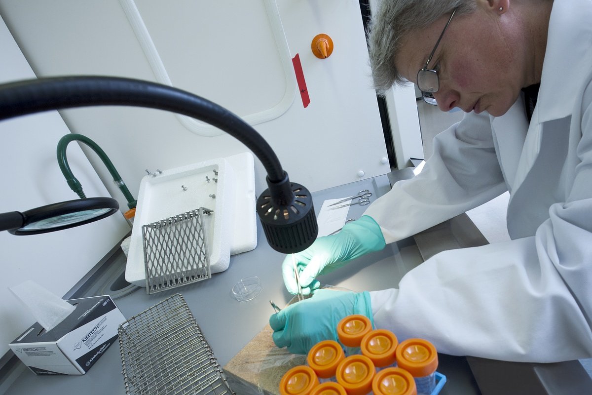 2 MDI laboratories win nearly $3M in state funding