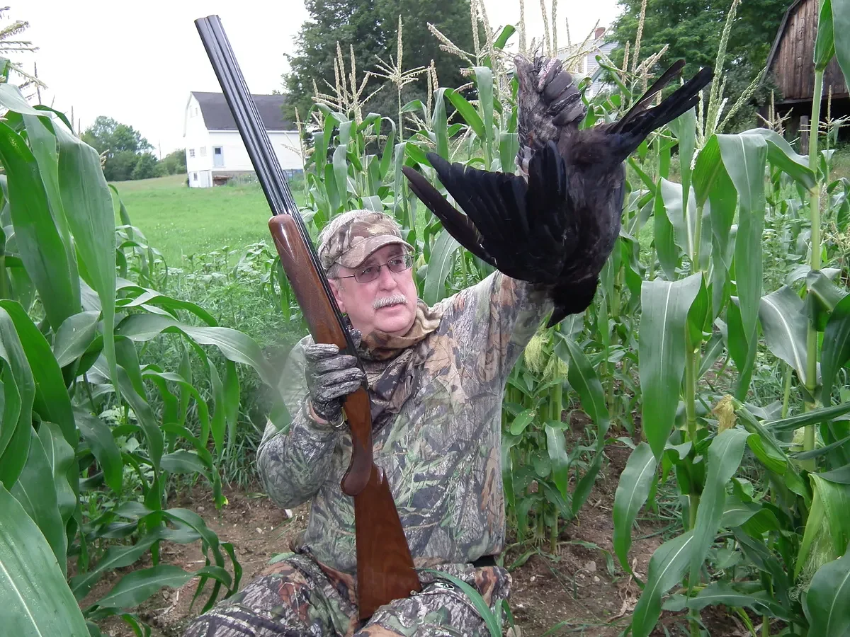 Why crow hunting is more fun than you think   
