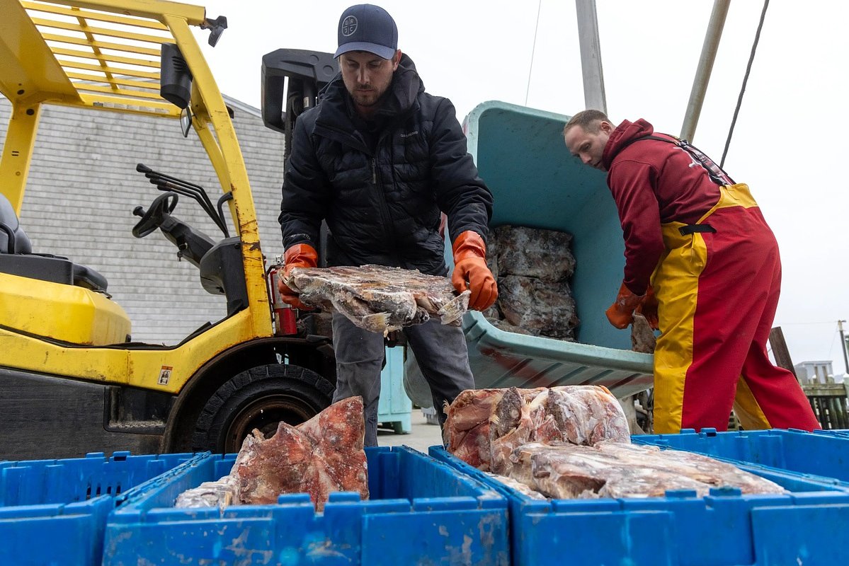 A lobster turf war is brewing in coastal Maine