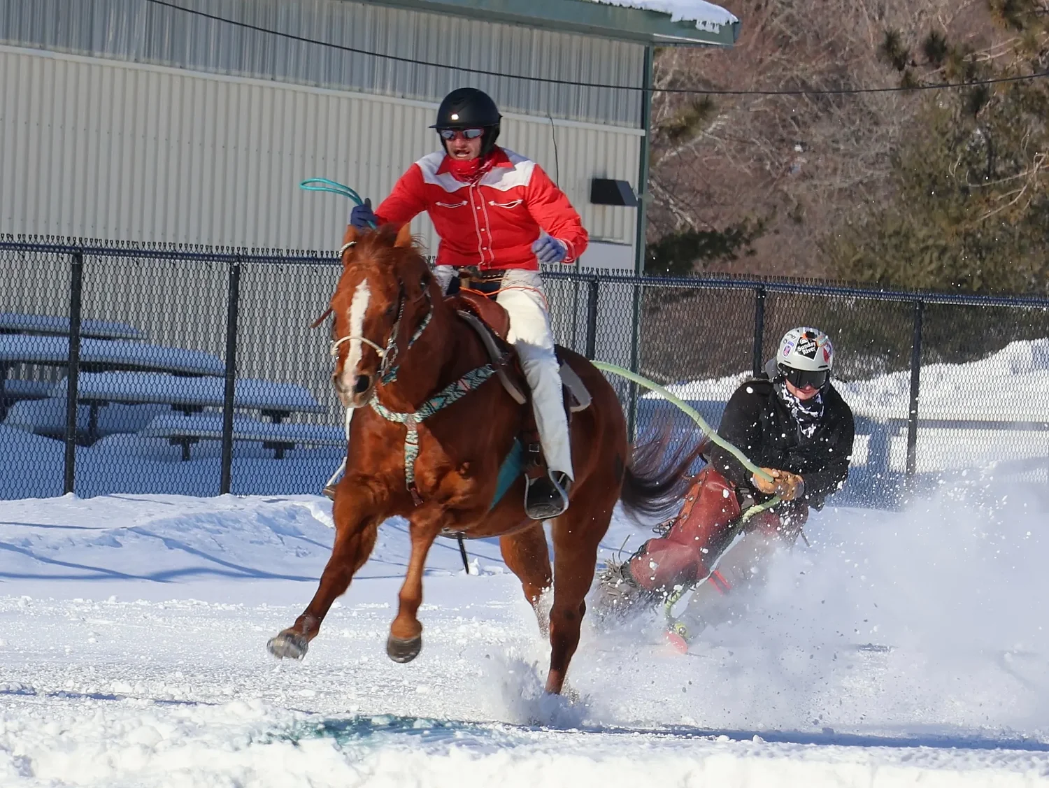 Maine riders, horses and skiers brave the cold in this growing extreme winter sport