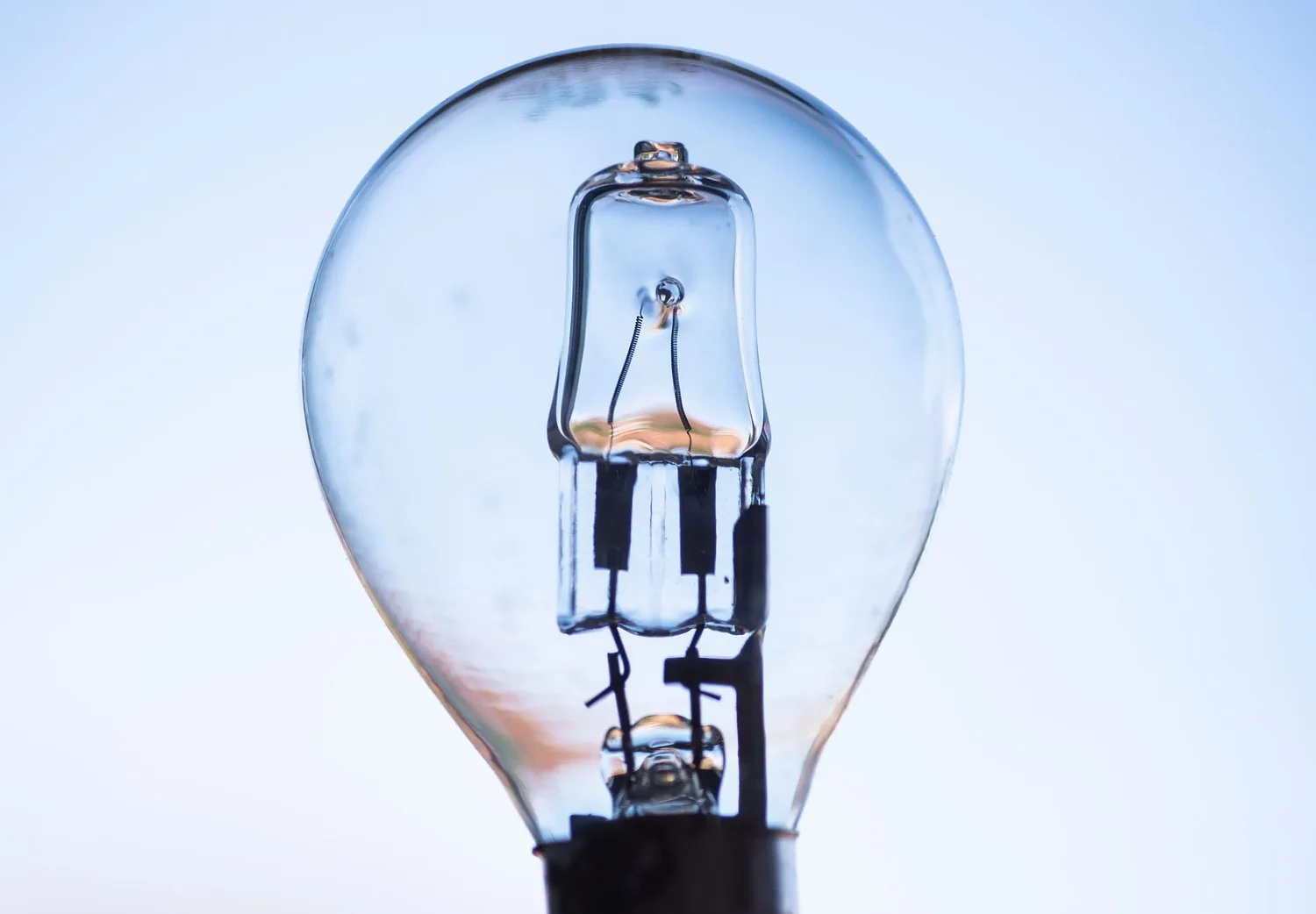 Organized Money: Why Your Lamp Sucks