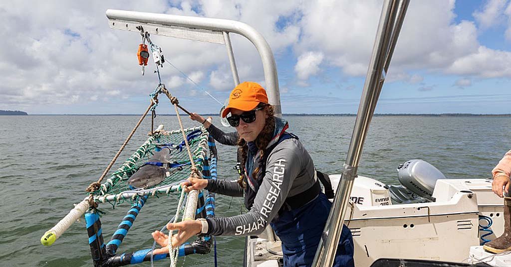 Here’s what we stand to lose from NOAA funding cuts