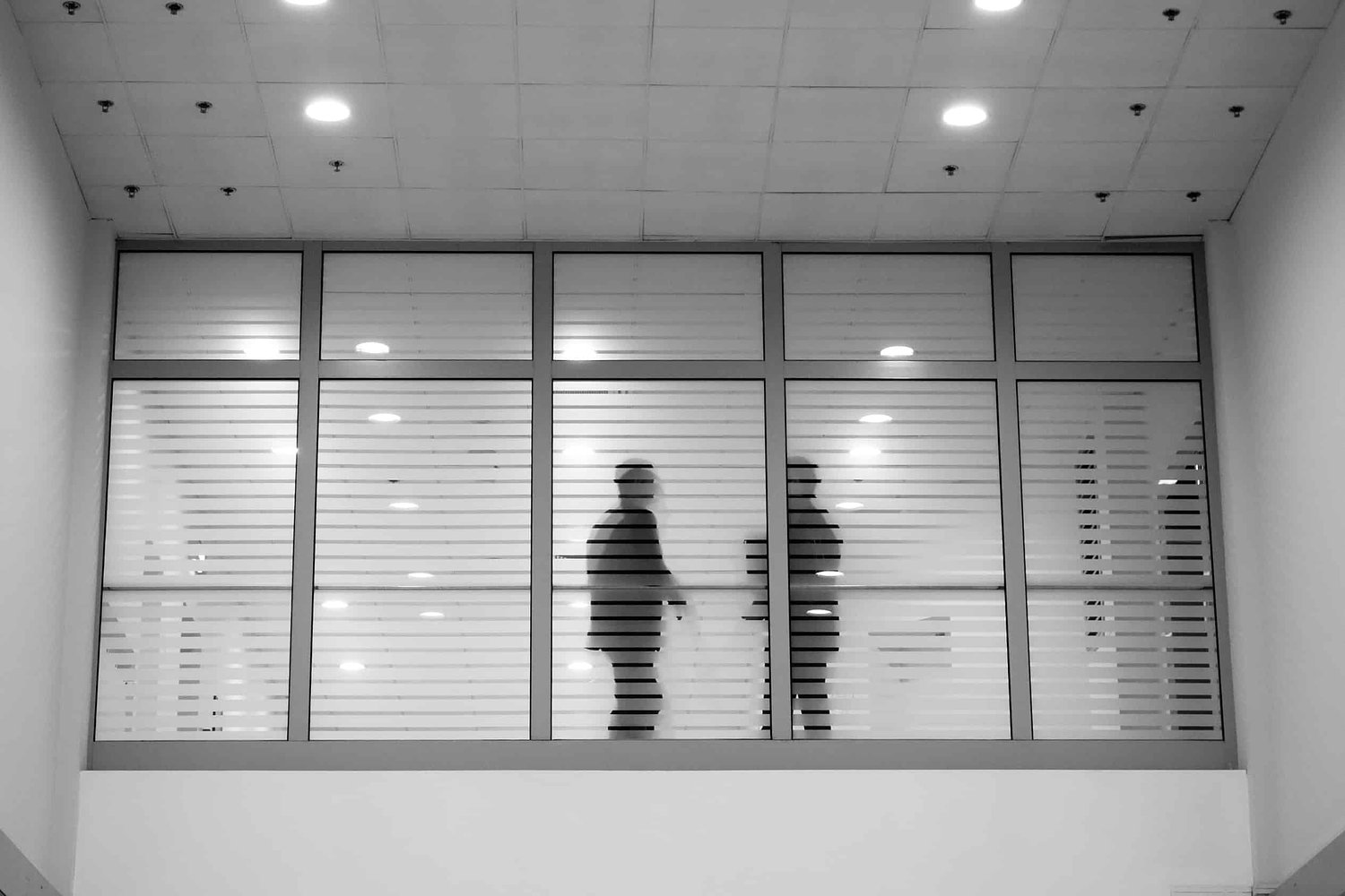 Fauci discussed gain-of-function work with Wuhan collaborator in pandemic's earliest days, emails suggest