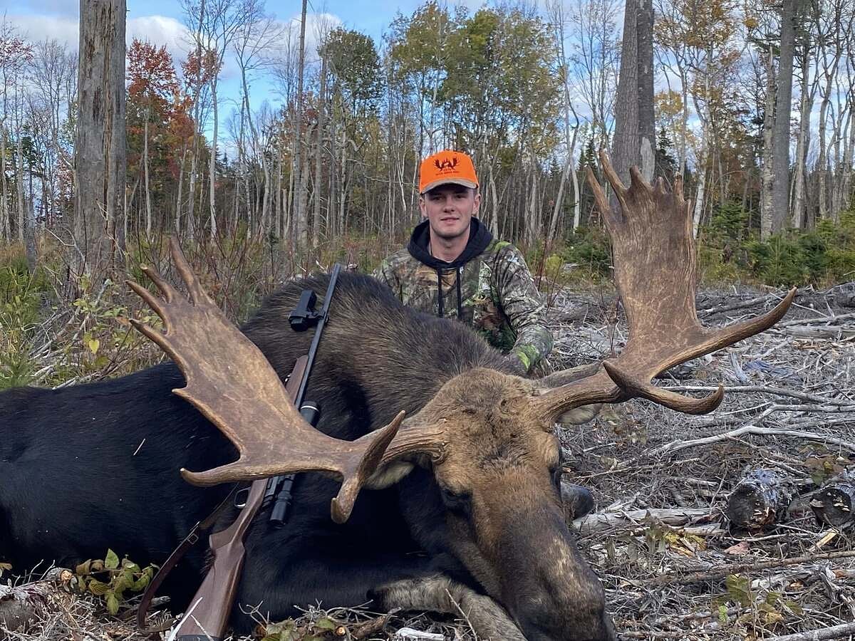Have you been waiting forever to draw a Maine moose tag?