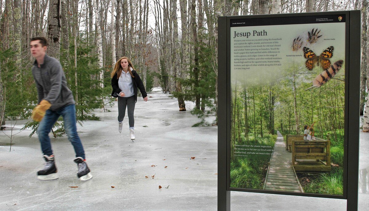 State to help fund wetland restoration in Acadia National Park