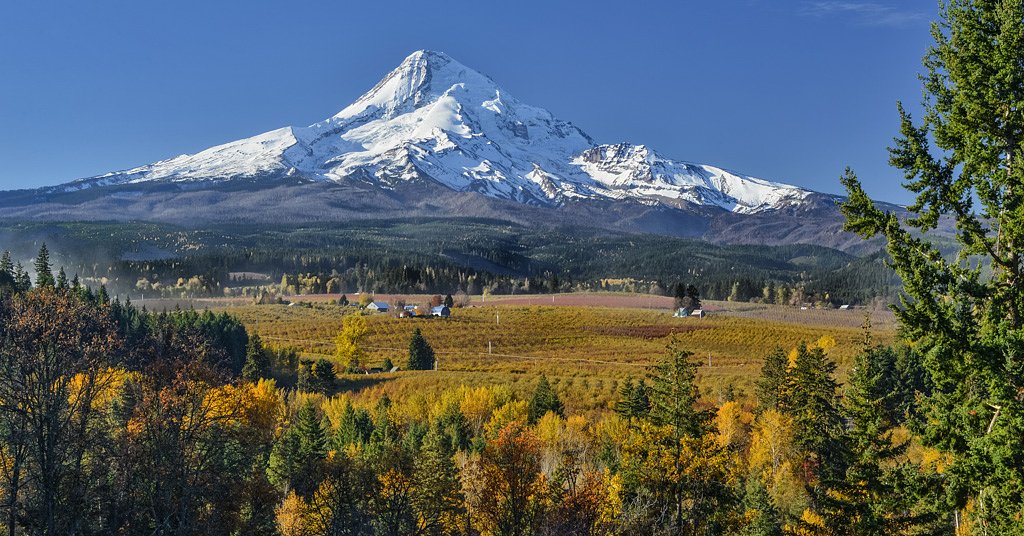 The unique story behind Hood River Valley's reign as Oregon’s pear capital