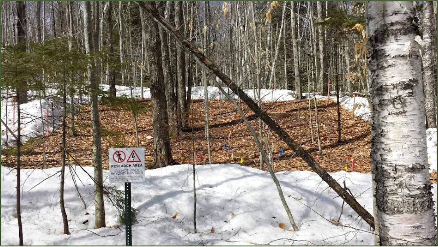 New Hampshire’s snowpack is shrinking. Researchers are still uncovering the scope of what it means.