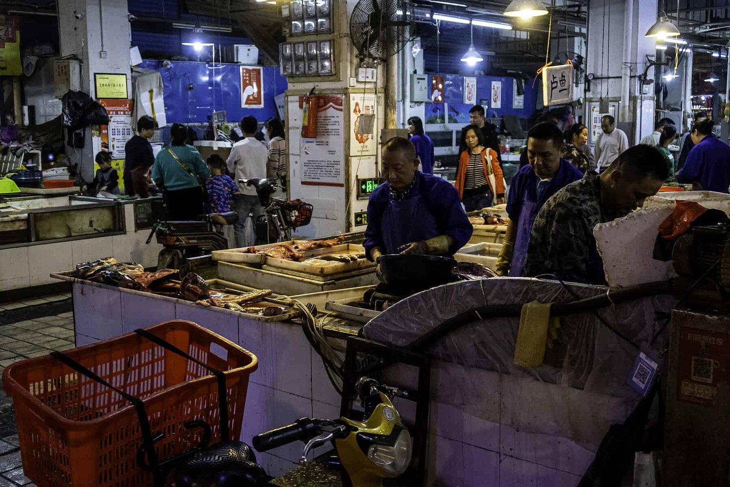 Science editor says his journal’s 'wet market' papers are not conclusive