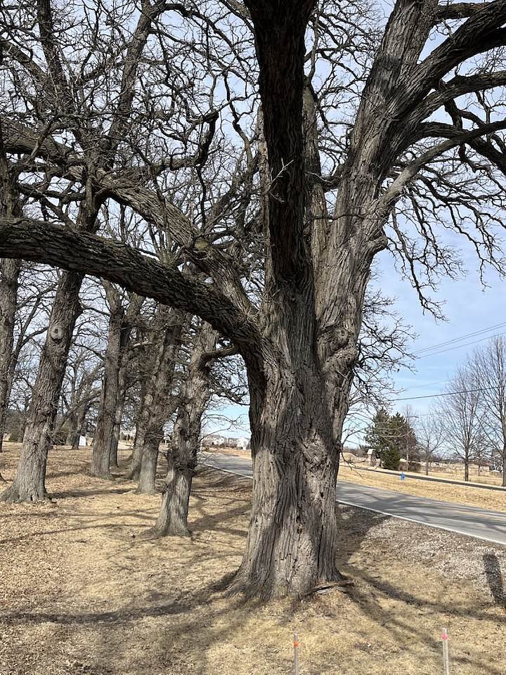 Listen: Kendall County’s 5 most-read stories this week, May 31-June 6