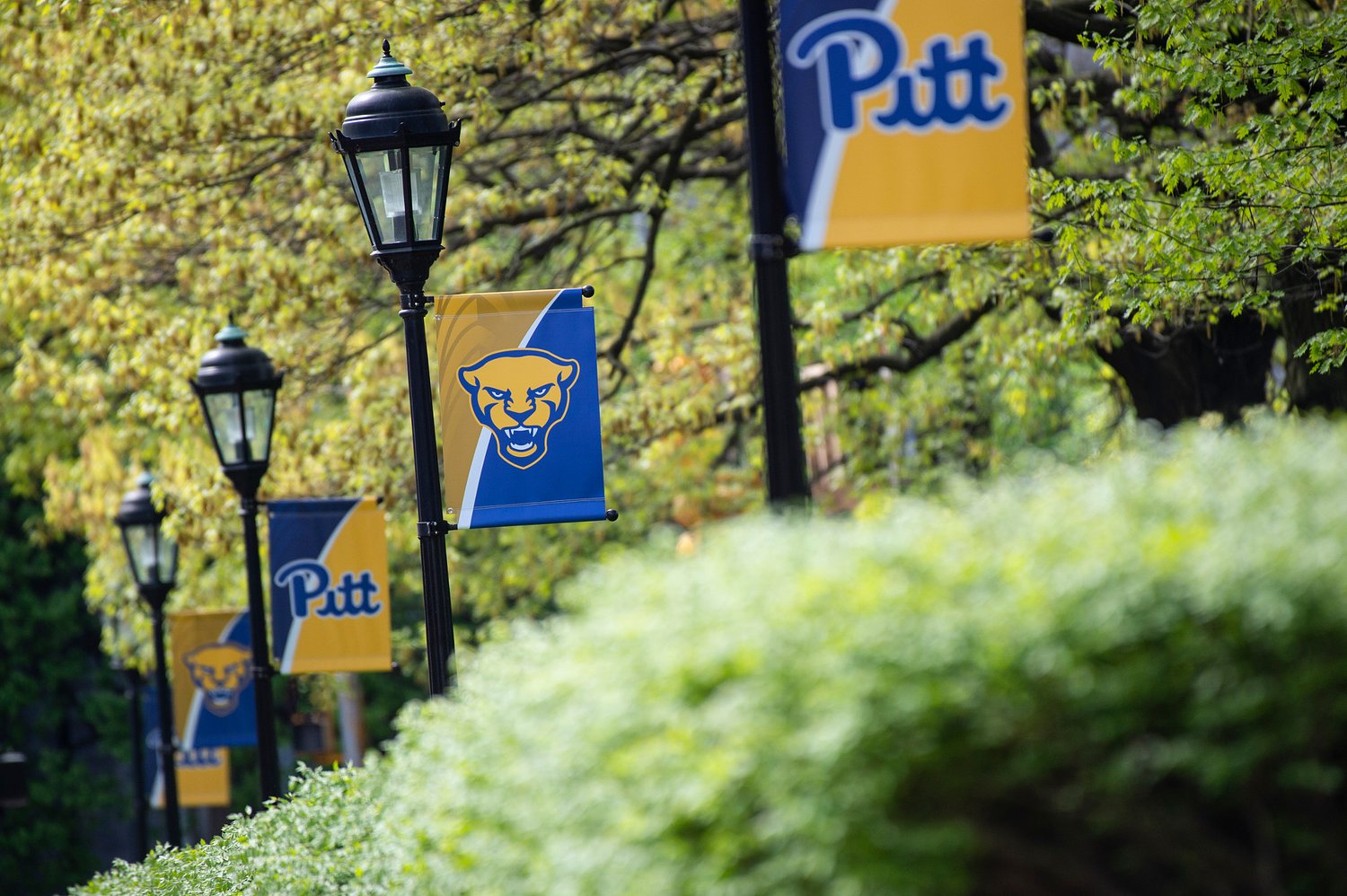 Pitt signs on for new training center to address dental-care shortage in rural Pa.