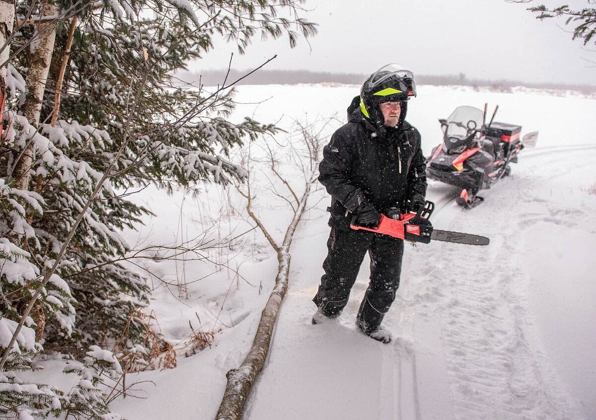 What to do with fallen wood during storm cleanup